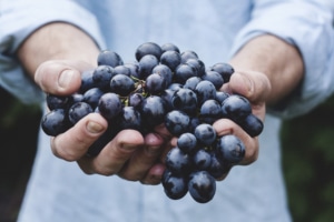 Grappe de raisin
